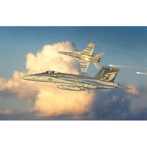McDONNELL DOUGLAS F/A-18 E SUPER HORNET -Escala 1/48- Italeri 2791