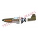 NORTH AMERICAN P-51 B Mustang "ROYAL CLASS" -Escala 1/48- Eduard R0019
