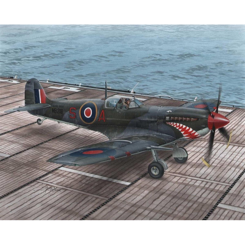 SUPERMARINE SEAFIRE MK.II TORCH - ESCALA 1/48 - SPECIAL HOBBY 48102 SUPERMARINE SEAFIRE MK.II TORCH - ESCALA 1/48 - SPECIAL HOBBY 48102
