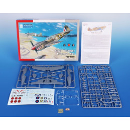 CURTISS P-40D WARHAWK MK.I 4 CAÑONES - ESCALA 1/72 - SPECIAL HOBBY 72367