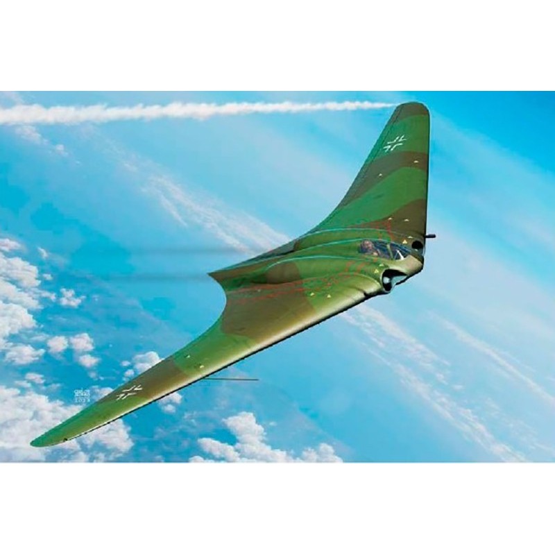 HORTEN Ho-229 Wunderwaffe -Escala 1/72- Academy 12583 HORTEN Ho-229 Wunderwaffe -Escala 1/72- Academy 12583