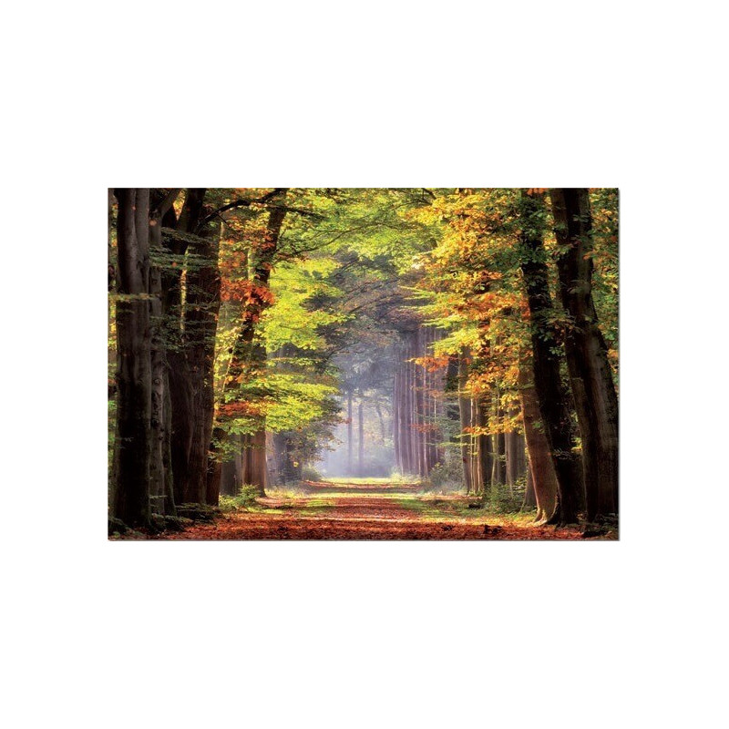 PUZZLE 1000 PZAS PASEO OTOÑAL - EDUCA 19021 PUZZLE 1000 PZAS PASEO OTOÑAL - EDUCA 19021