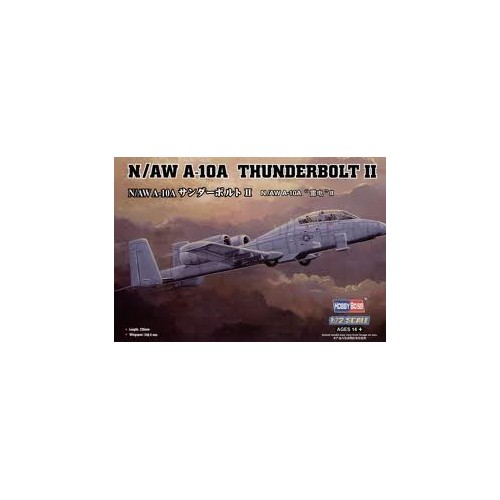 FAIRCHILD REPUBLIC A-10 A THUNDERBOLT II N/AW