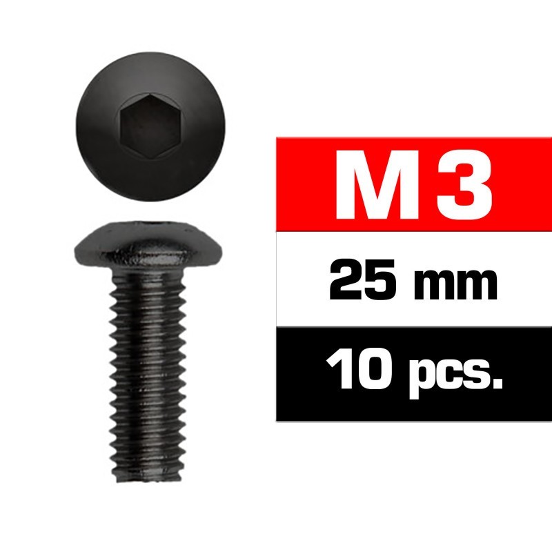 TORNILLO 3X25mm CABEZA BOTON (10 UNIDADES) XTR TORNILLO 3X25mm CABEZA BOTON (10 UNIDADES) XTR