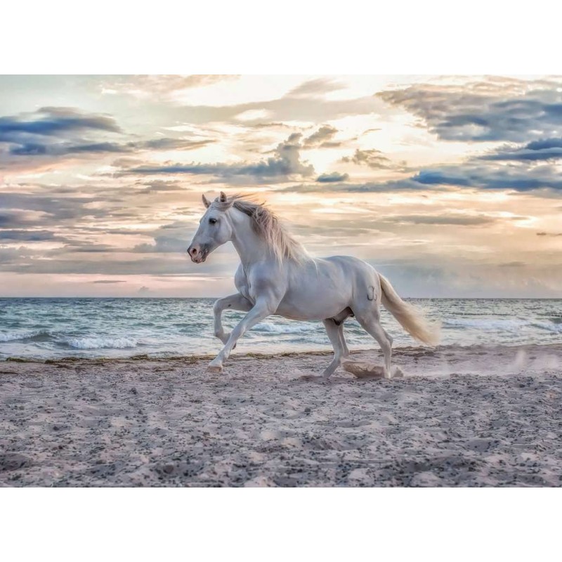 PUZZLE 500 PZAS CABALLO EN LA PLAYA - RAVENSBURGER 12000222 PUZZLE 500 PZAS CABALLO EN LA PLAYA - RAVENSBURGER 12000222