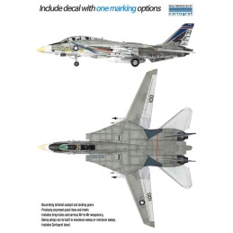 GRUMMAN F-14 A TOMCAT "VF-143 Pukin Dogs" -Escala 1/72- Academy 12563