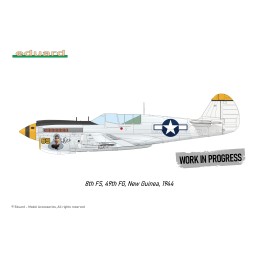 CURTISS P-40 N WARHAWK "Royal Class" -Escala 1/48- Eduard R0025