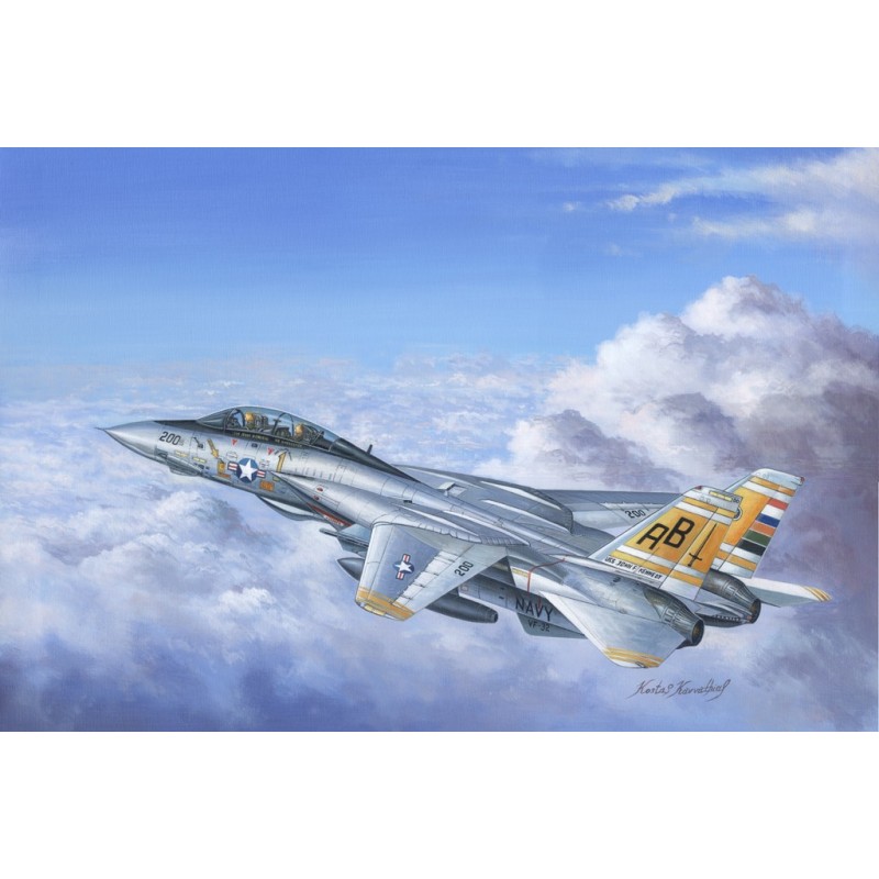 GRUMMAN F-14A Tomcat -Escala 1/48- Hobby Boss 80366 GRUMMAN F-14A Tomcat -Escala 1/48- Hobby Boss 80366