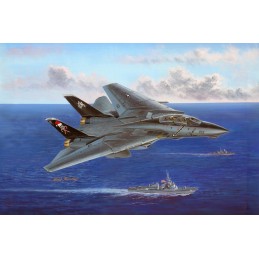 GRUMMAN F-14 B TOMCAT (Bomcat) -Escala 1/48- Hobby Boss 80367