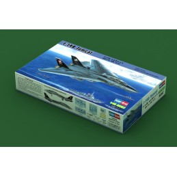 GRUMMAN F-14 B TOMCAT (Bomcat) -Escala 1/48- Hobby Boss 80367