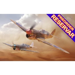CURTISS P-40 D KITTYHAWK (Dual Combo) -Escala 1/48- Eduard 11187