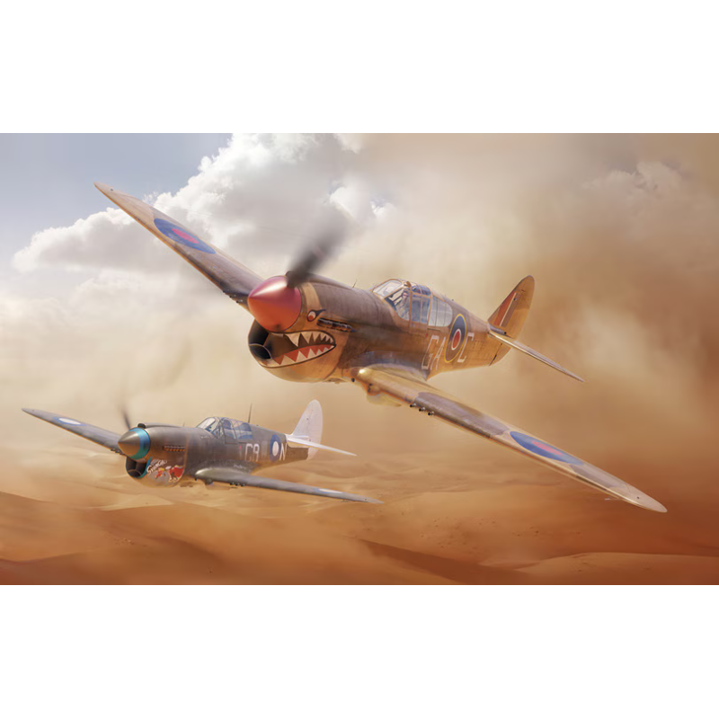 CURTISS P-40 D KITTYHAWK (Dual Combo) -Escala 1/48- Eduard 11187