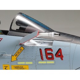 GRUMMAN F-14 D TOMCAT 1/48 - Tamiya 61118
