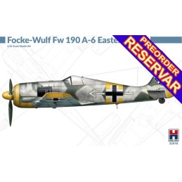 Focke-Wulf Fw 190 A-6 Eastern Front -Escala 1/32- Hobby 2000 H2K32018