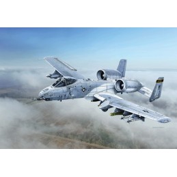 FAIRCHILD REPUBLIC A-10 C TRUNDERBOLT II "Blacksnakes" -Escala 1/48- Italeri 2725