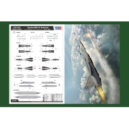 MIKOYAN GUREVICH Mig-31 Foxhound -Escala 1/48- Hobby Boss 81753