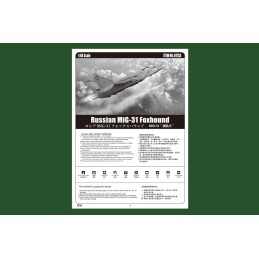 MIKOYAN GUREVICH Mig-31 Foxhound -Escala 1/48- Hobby Boss 81753